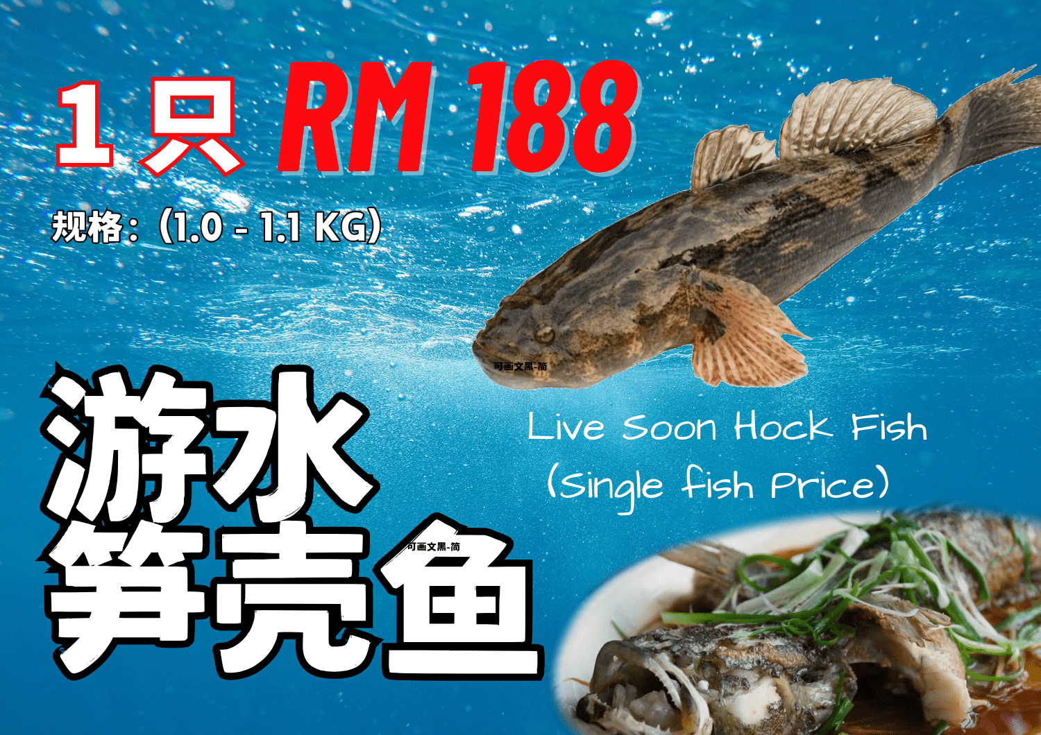 fishpromo-zk1-min